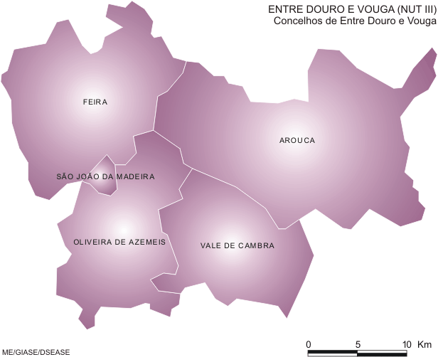 Posicionamento Estratégico da Região de Entre Douro e Vouga para a Politica de Cidades 